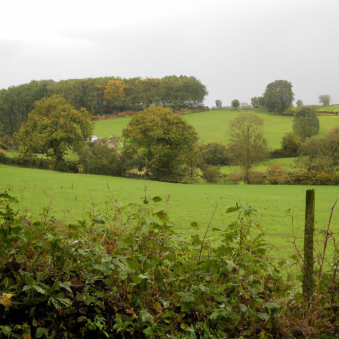 Nature’s Haven: Exploring Serene Rural Landscapes